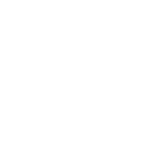Auditor